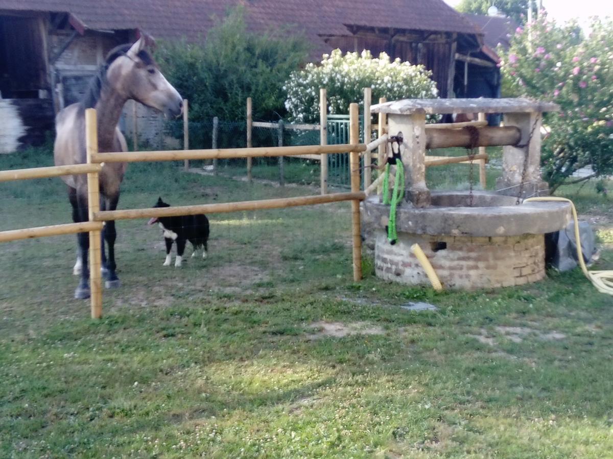 La Ferme De La Chassagne Otel Devrouze Dış mekan fotoğraf